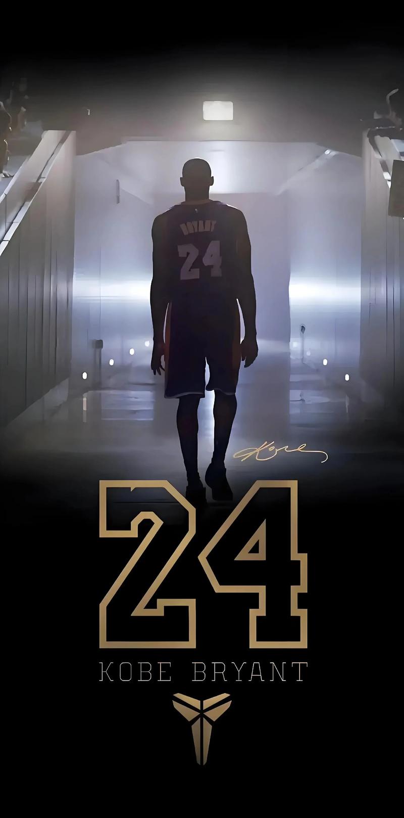 关节轻伤高 关节轻伤高