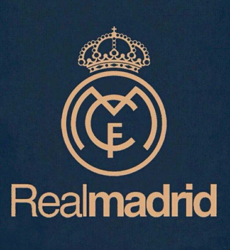 的思想骨架 的思想骨架